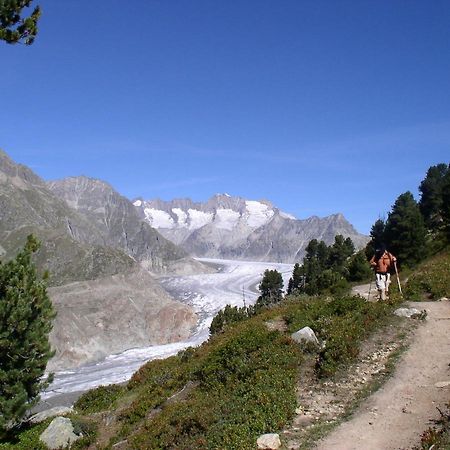 Mischabelblick Leilighet Fiesch Eksteriør bilde