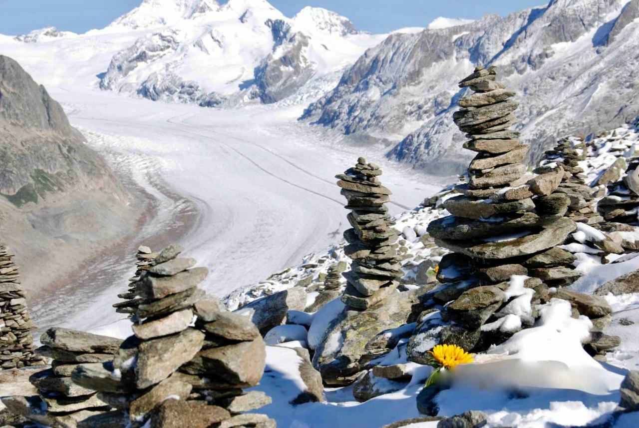 Mischabelblick Leilighet Fiesch Eksteriør bilde